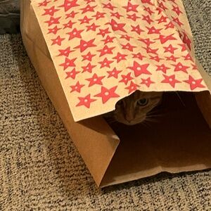 Meet your Posher, Mulberrie2